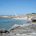 rottnestisland