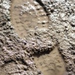 Muddy Footprint